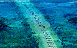 michaellangdons: film genre meme [1/10] animated films Spirited Away (2001) dir. Hayao Miyazaki 