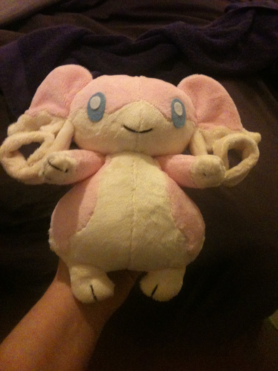 I got a new bunne