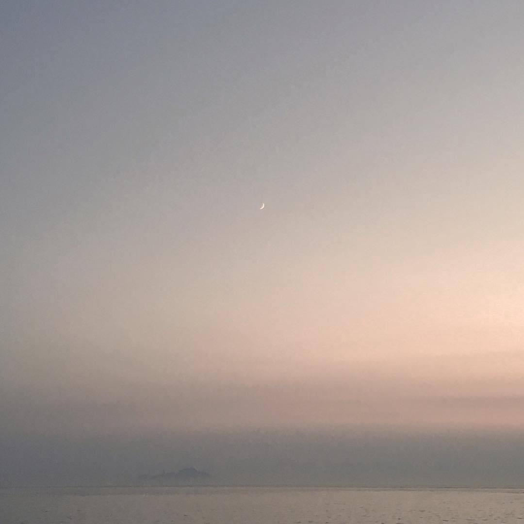2gris:https://www.instagram.com/p/BOABzSGDJJS/