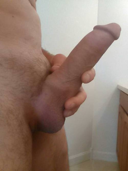 XXX Some morning wood photo