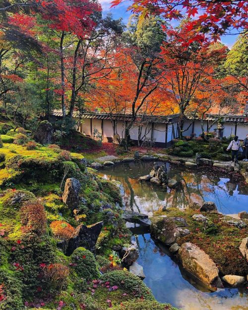 西明寺本坊庭園 [ 滋賀県甲良町 ] Saimyo-ji Temple Honbo Garden, Koura, Shiga の写真・記事を更新しました。 ーー紅葉の名所 #湖東三山 の国宝第一号の寺