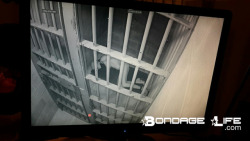 deargreyh0und:  greyhoundsowner: With the help of SeriousBondage.com and EdgeDungeon.com, we have locked greyhound into Solitary Confinement for the next two days! We’ll be streaming the experience soon! If you want to stay up to date on her experience,