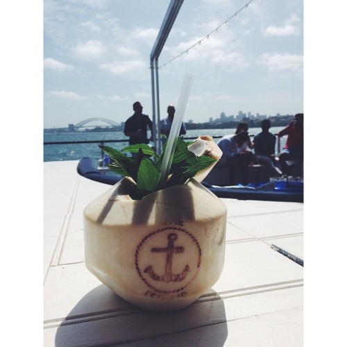 #sunday #summer #sessions at #theisland #coconut #cocktail #sun #ocean #sea #harbour #blueskies #clo