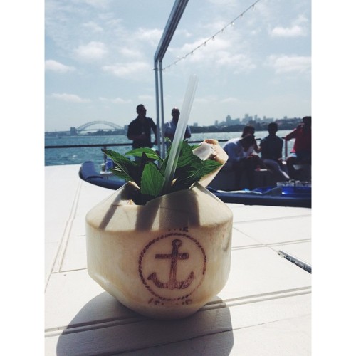 #coconut #cocktail #paradise on #theisland #sydney #summer #sun #harbour #harbourbridge #love #amazi