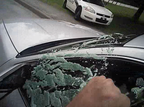 cultureofresistance:  lunagemme:  america-wakiewakie:  Body Cam: Cop Assaults Woman for Not “Rolling Down Her Window All the Way” (Video) | The Free Thought Project  A Police Officer’s Body Cam captured his severe over reaction on film. On September