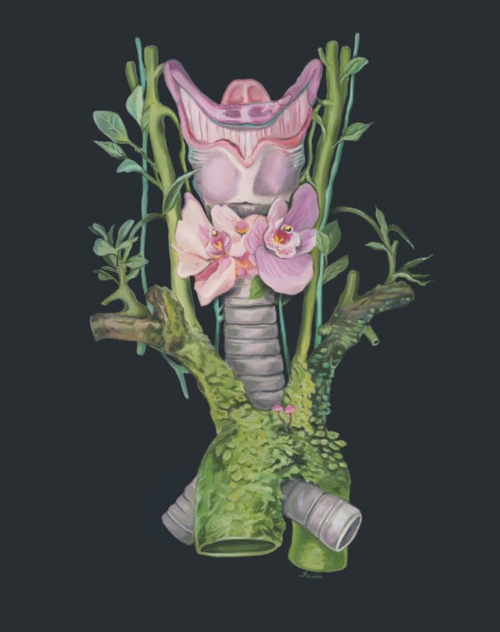 themedicalstate:Anatomical Art-by Trisha Thompson Adams (tinyartshop)