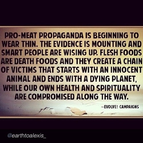 by @earthtoalexis_ &ldquo;If you were meant to eat meat, it wouldn&rsquo;t wreck your body, 