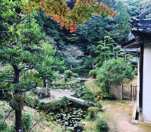 ＼おにわさん更新情報／ ‪[ 山口県下関市 ] 妙青寺雪舟庭 Myoseiji Temple Sesshu Garden, Shimonoseki, Yamaguchi の写真・記事を更新。 ーーかの