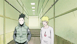 daily-dattebayo:    Naruto Meme: [7/10] relationship