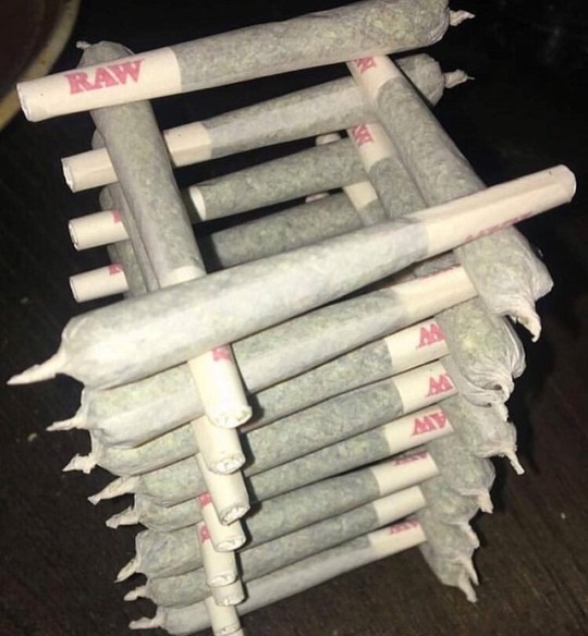 streethustlerslife:  