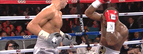 dannybrosco:  jillsandwich: Gennady Golovkin vs. Curtis Stevens  Good to see Curtis