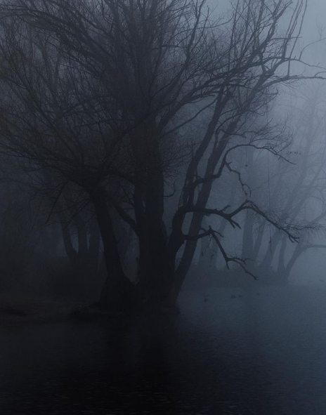 photography by ianaart #photography#dark#shadow#foggy#fog#atmosphere#mood#doom metal #atmospheric black metal #lake#trees#woods#dark house#magic#mystical#autumn#winter#dark photography#river#forest#alone#thouhgts