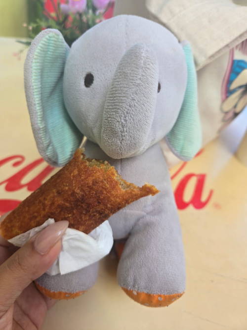 So I Allowed My Mom To Take My Plush Elephant To Puerto Rico With Her, And She's Having A Little Too