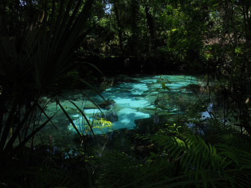 oceansereni-ty: This is seriously beautiful!