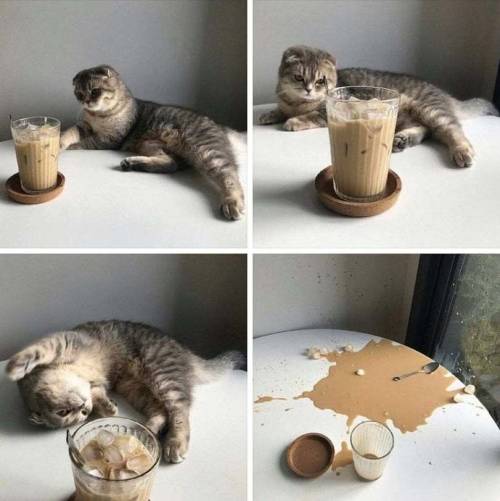 cognitivedissonance:kariki:branewurms:a narrative in pictures Obviously that iced coffee started it.