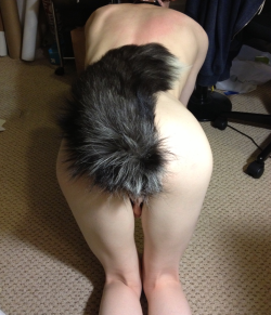 foryoumaster:  more tail  I love tail!