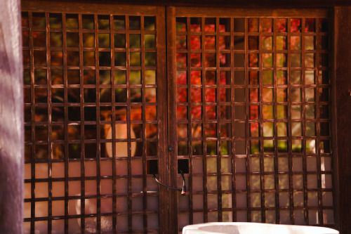 『晩秋の宝泉寺温泉』sony a6400 + SIGMA 56mm F1.4 DC DN | Contemporary2021.12location : 静岡県 Shiuoka, japan