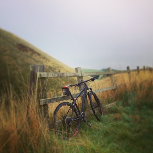 timnorris:  First ride for about 2 weeks on my bikes. Took a little while to warm up this morning, b