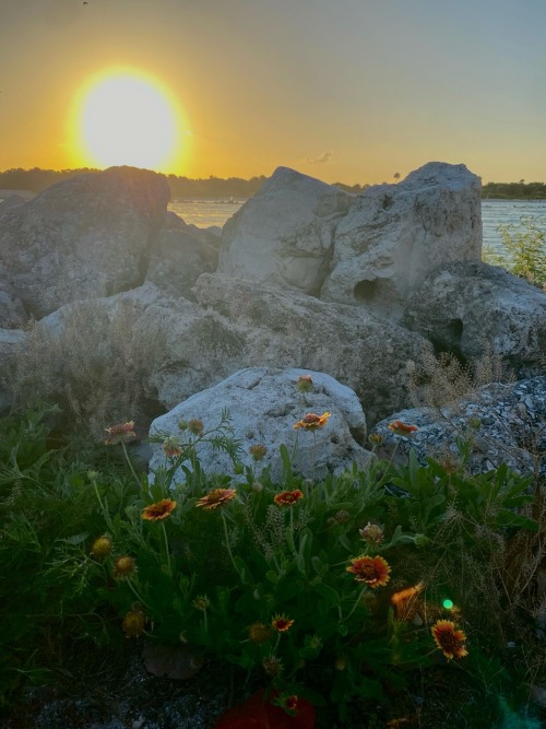 Orchid Island 