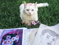 daisysprout:  coltre:  she come in my garden everyday and sit in front of me while I work on my sketchbook. she doesn’t want food, she just sit there looking at me. today I covered her in flower and we were both happy.  I love that the caption is still