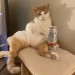 catasters: