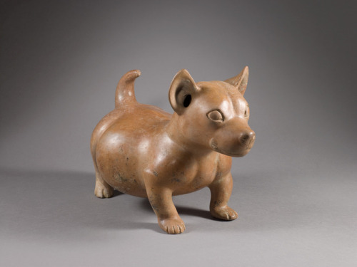 slam-african:Standing Dog, Colima, c.300 BC–AD 300, Saint Louis Art Museum: Arts of Africa, Oceania,