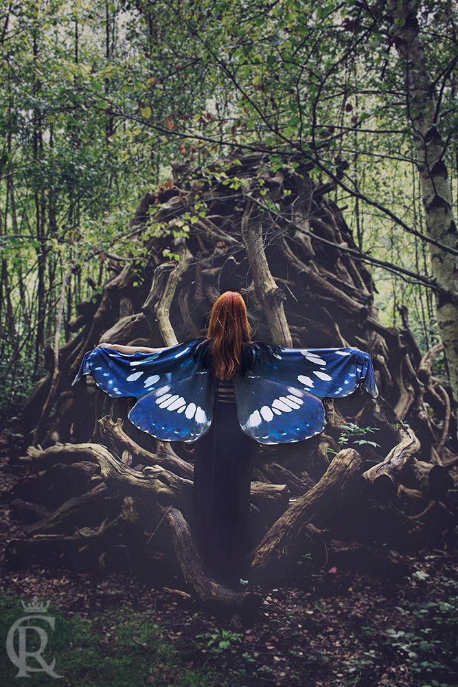 culturenlifestyle:Stunning Conceptual Scarves Emulate Butterfly Wings  Born to a