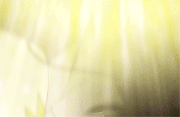 ochiihabune:   Favourite openings: Naruto Shippuden opening 6 | Sign (♦)