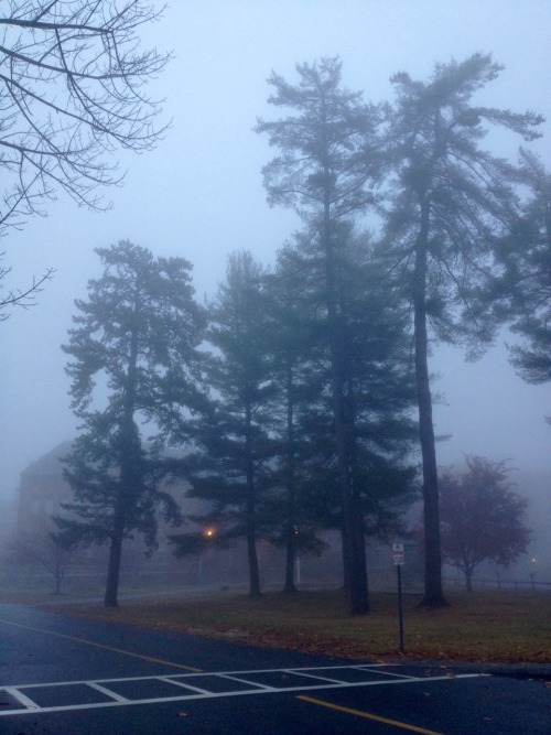 bonusocean:this morning i woke up very early and outside was foggy + nice