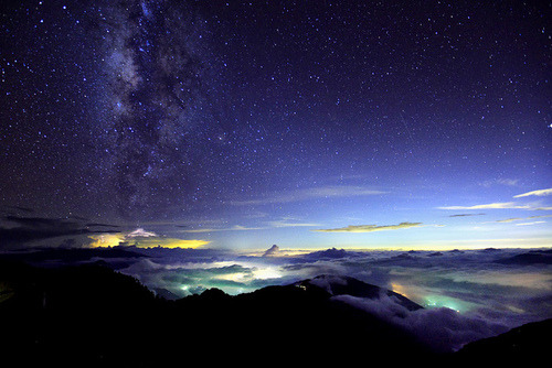 XXX tulipnight:  Starry Night by Thunderbolt_TW photo