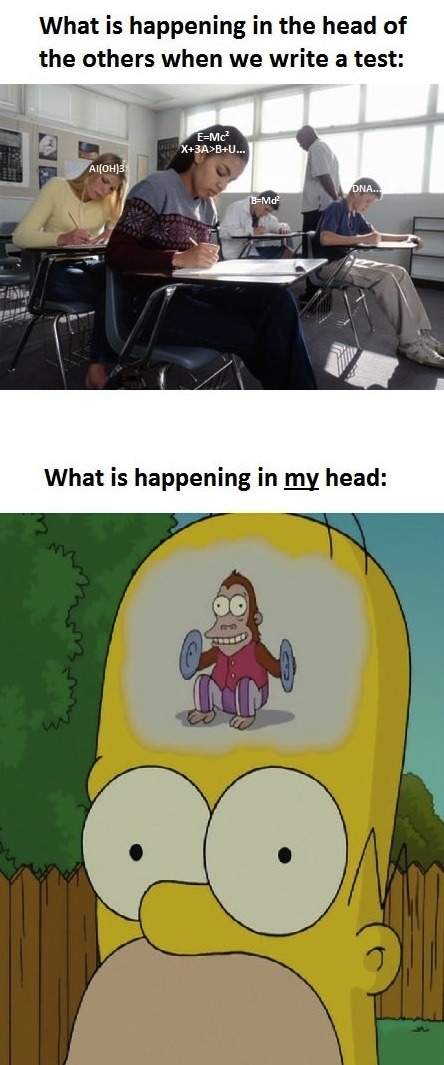 forthefuns:  follow forthefuns for more funny stuff