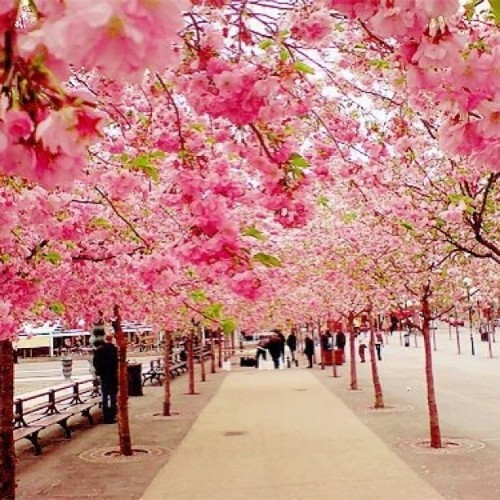 Nature In Here Beauty ...