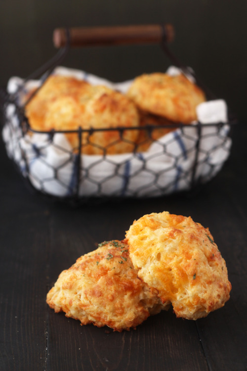 phoods - (via Handle the Heat Homemade Cheesy Garlic Biscuits)