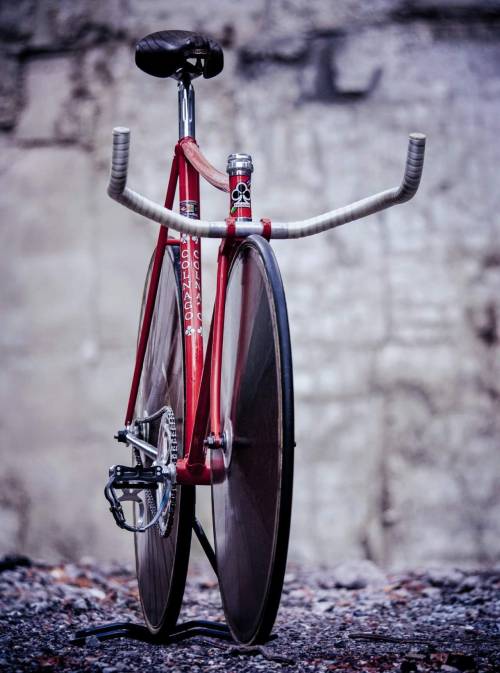 Colnago