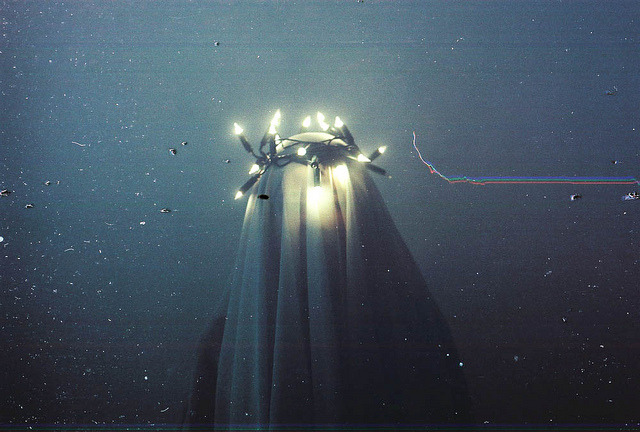 untrustyou:  Yulia Krivich