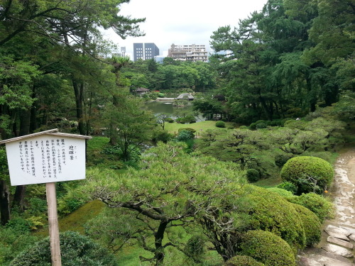 earthmoss:  this was at a nice garden hidden behind a museum in japan. it was v rainy that day so th