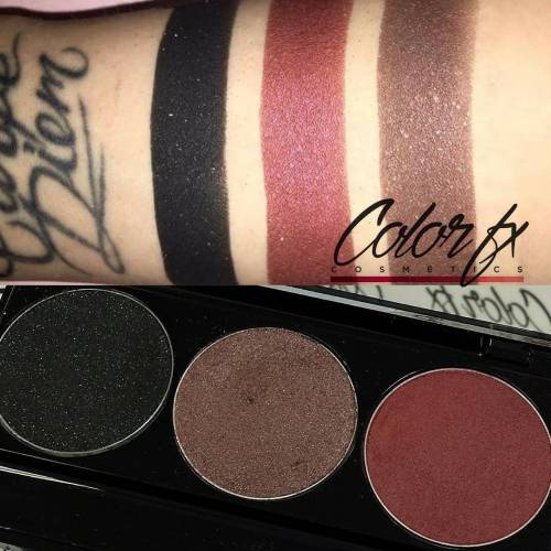 Empire Shadow Palette Swatches from @danielleforshiz @alkalinebeauty#makeupartist #mua #eyeshadow 