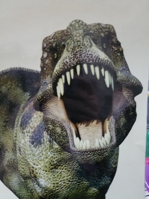 I fucking love pictures of T-Rex from the front.