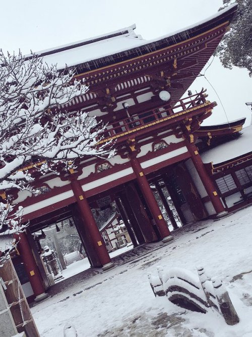 sima@福岡からでれません‏@sima_touken雪の太宰府、きっと二度と拝めないなと思います