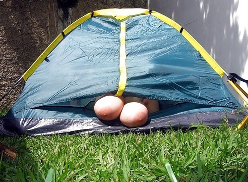 gggman69:  luvherlushy:  I think I want to go in … THAT tent.  Even a tent can’t