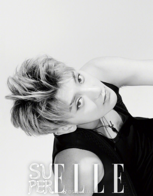 Tao for SuperElle (1) (2) | available for purchase: here