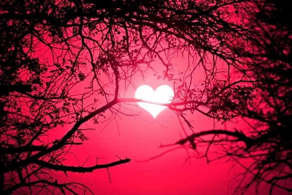 Photomanipulated sunrise forest scenery with the sun made to look like a heart. Colorized pink to better reflect the spirit of love and Valentine’s Day.