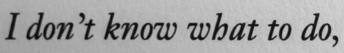 poetrylit:jonathan safran foer, everything is illuminated