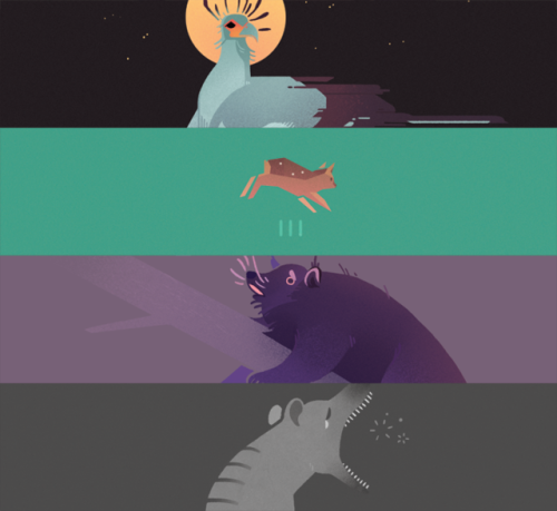 Sneak peeks of some of my strange animals for a collaboration zine I&rsquo;ve been creating with @p-