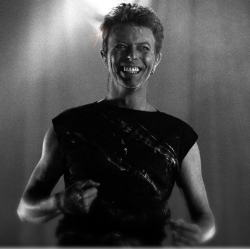 jones31370:  Source:Twitter.com, David Bowie