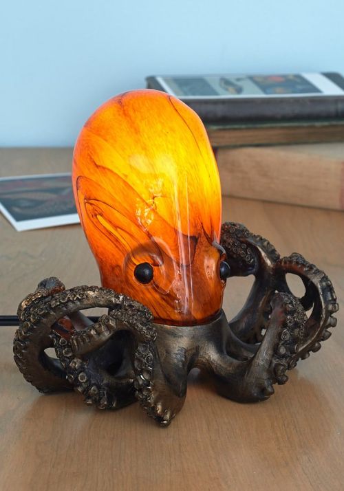 wheretimeisneverplanned: NO BUT GUYS LOOK AT THIS LAMP.
