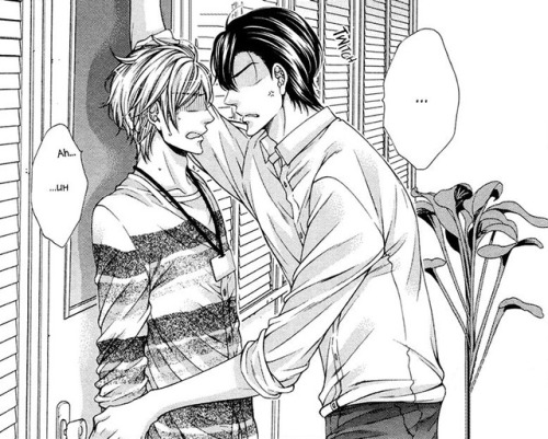 yaoifunlife:    Renai Paradox  