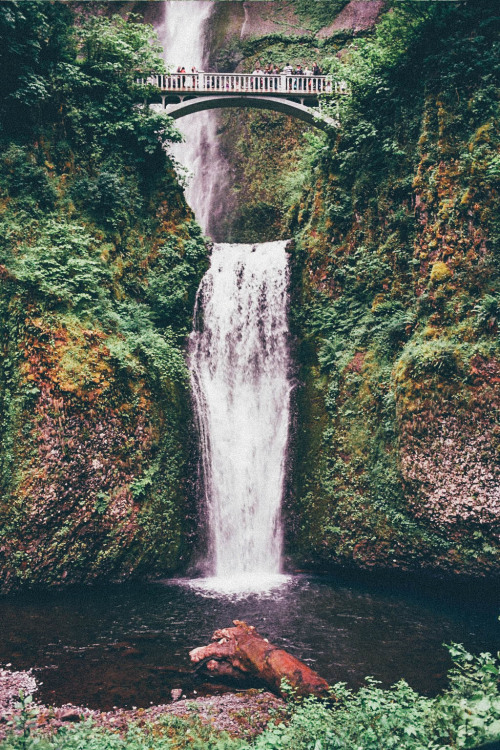 northwezt:  Multnomah Falls, OR Olympus om-40 (Kodak Ektar 100) 