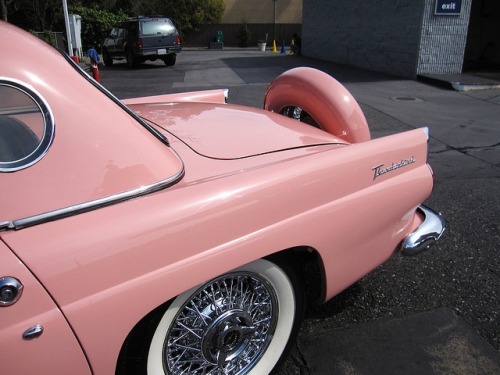 Sex specialcar:  pink thunderbird  pictures