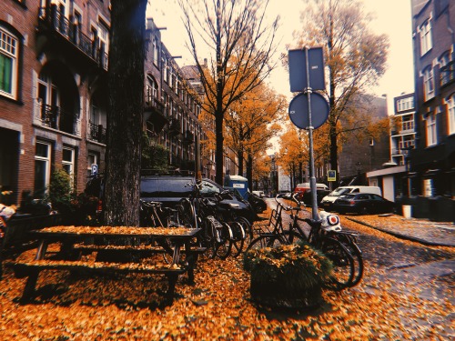 the sounds of crunchy autumn leaves on cobblestonesthe smell of rain after a thunderstorm Some photo